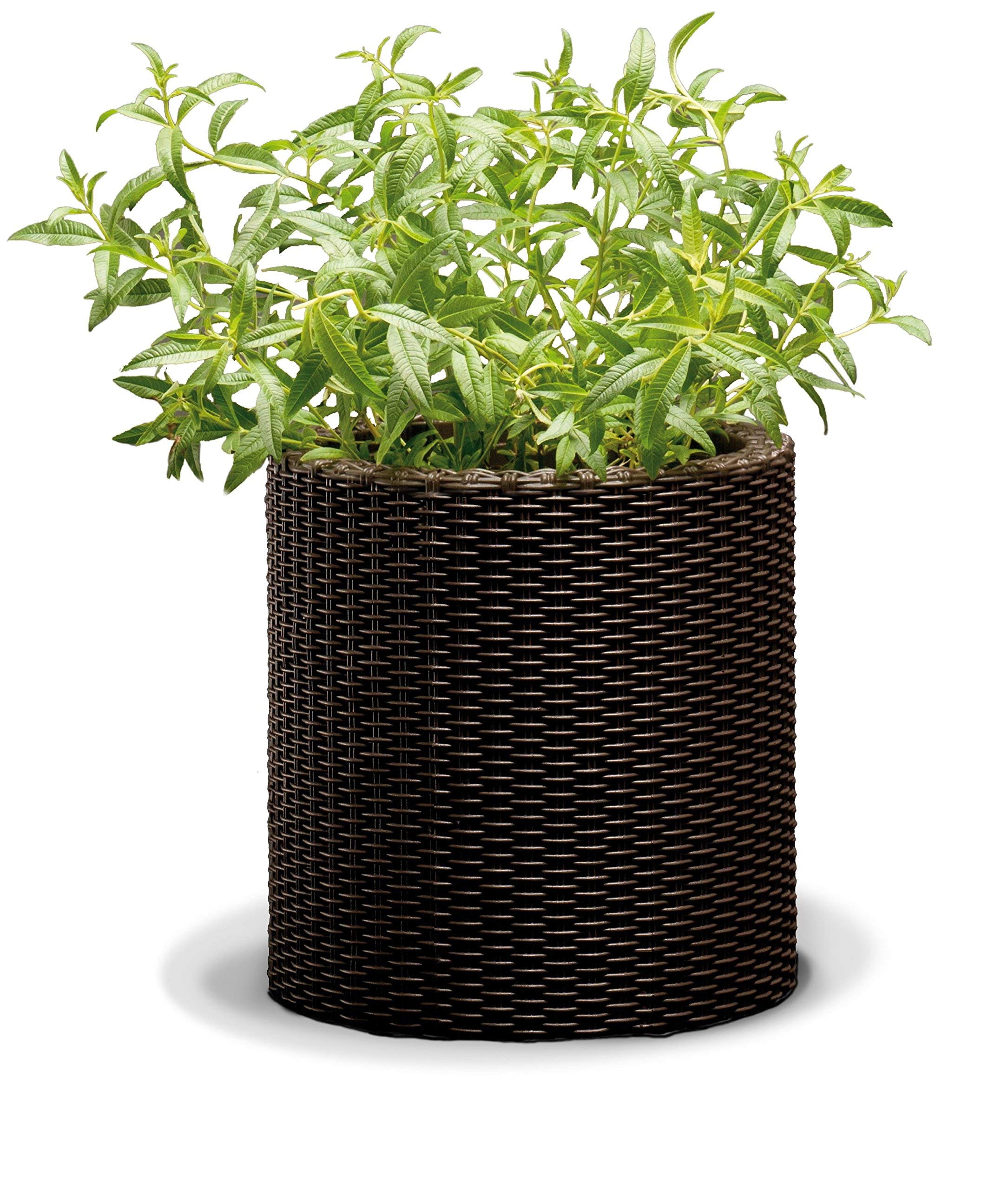 Keter - Medium Rattan Pot, Round Base, 100% Recycled Material, 36 x 36 x 37.5 cm, Capacity 18 L, Chocolate Brown