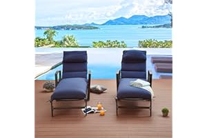 LOKATSE HOME 2 Pieces Outdoor Patio Chaise Lounge Blue Removable Cushions and Pillows with Adjustable Backrest and Armres Reclining Chairs for Beach Poolside Balcony Backyard Garden