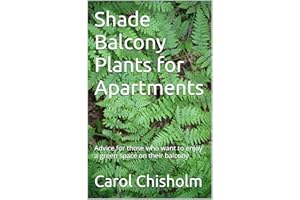 Shade Balcony Plants for Apartments: Advice for those who want to enjoy a green space on their balcony