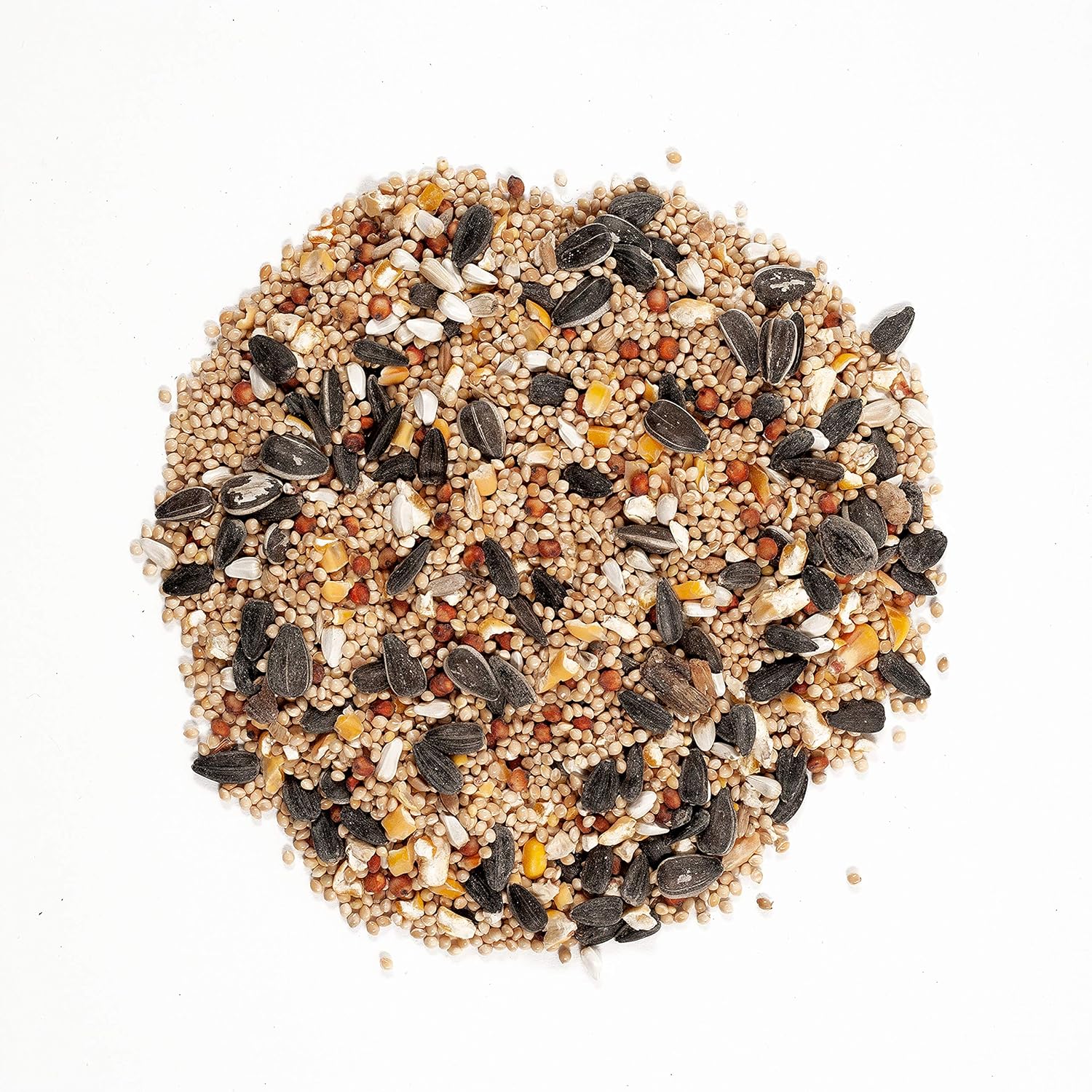 Wagner's 62004 Eastern Regional Blend Wild Bird Food, 20-Pound Bag : Wild Bird Birdseed : Garden & Outdoor