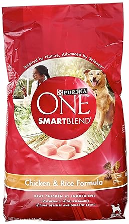 amazon purina one dog food