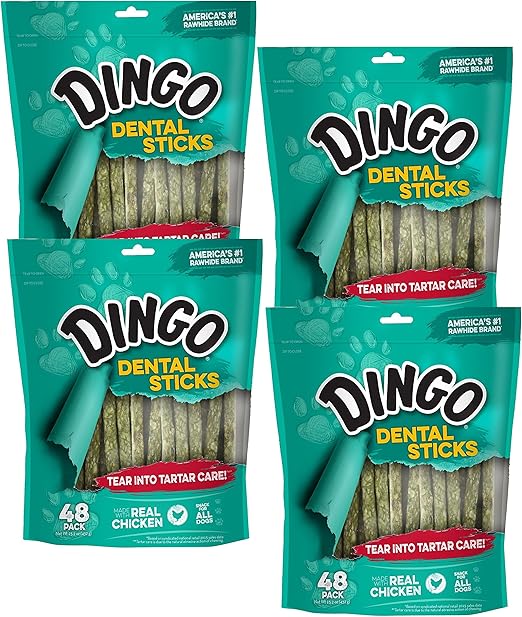 dingo dental