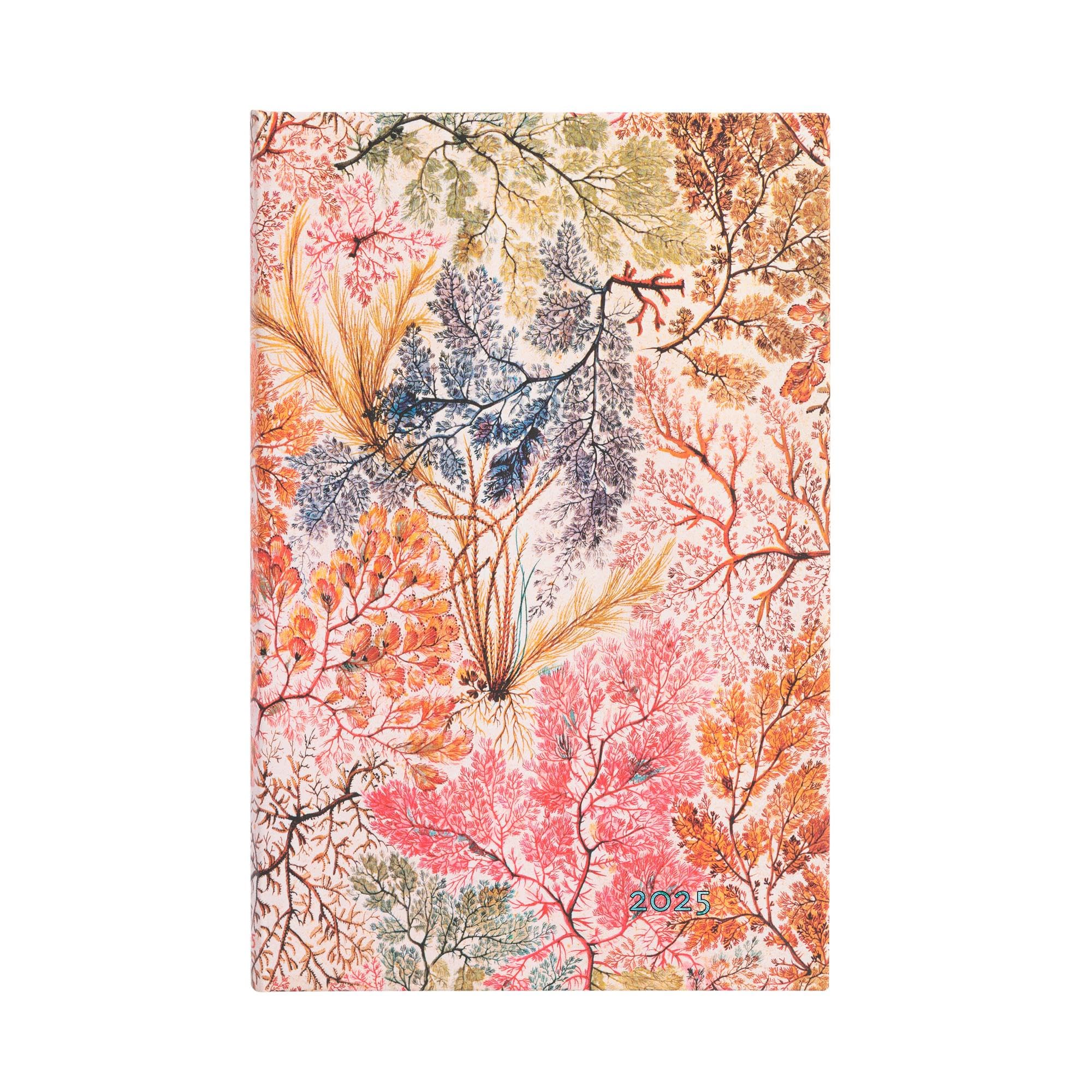 Paperblanks 2025 Anemone Midi Horizontal 12 Month Calendar with Flap Envelope