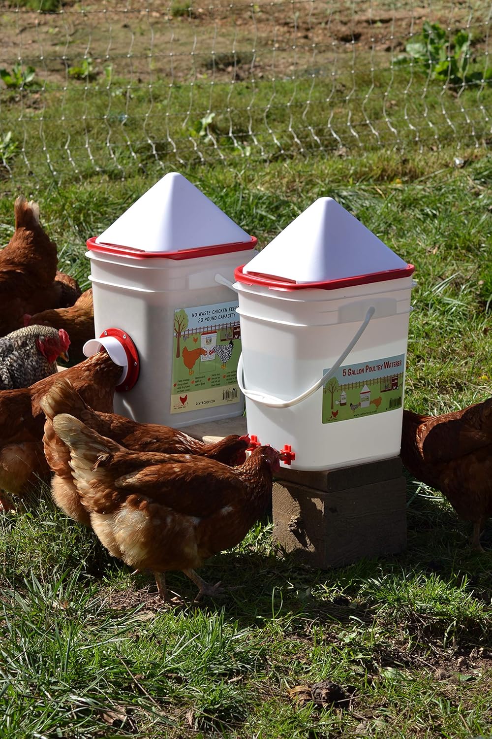 Amazon Com 5 Gallon Chicken Waterer 4 Horizontal Side Mount