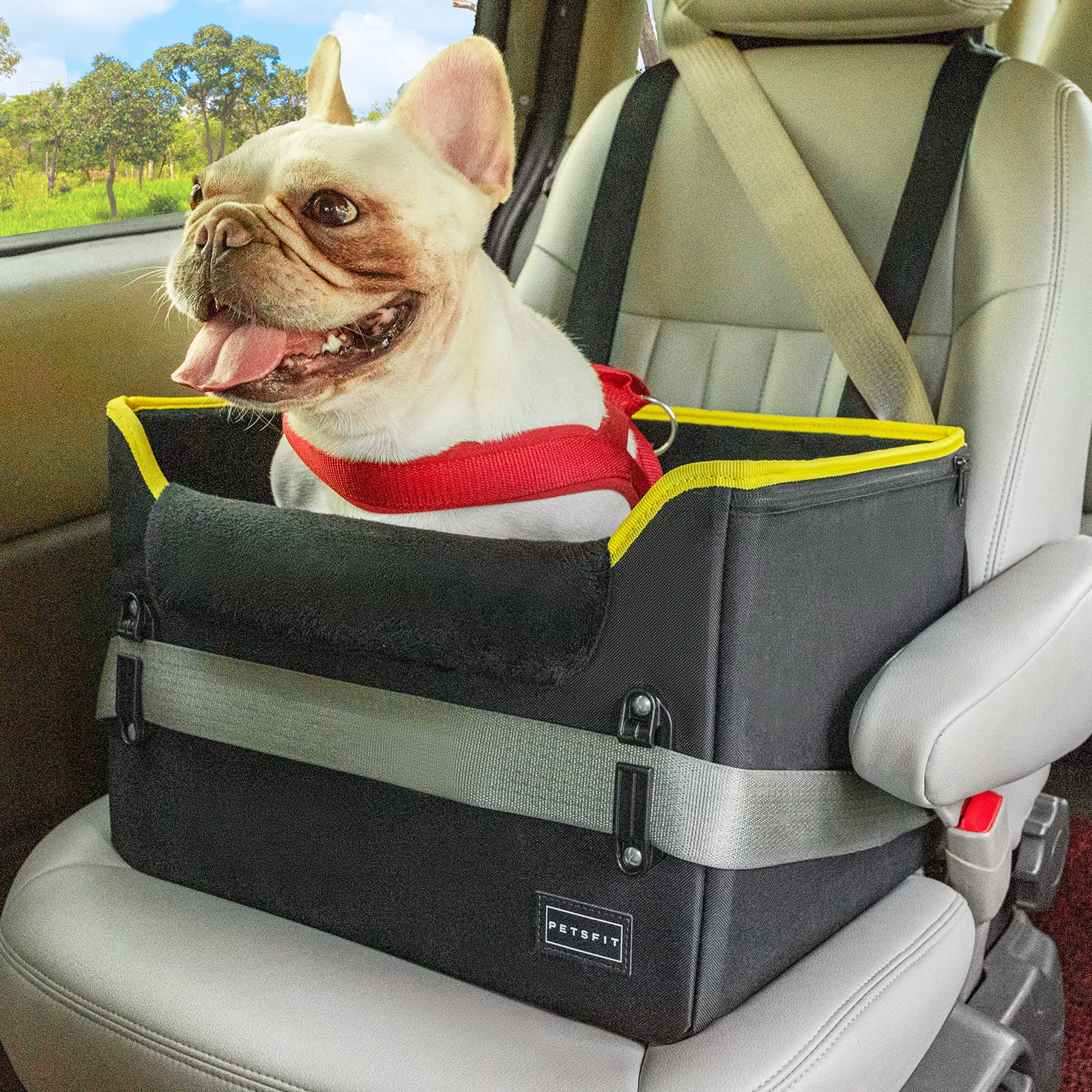 Dog Car Booster Seat For Small Dogs 0-25 Lbs - Portable Pet Car Seat With Safety Buckles