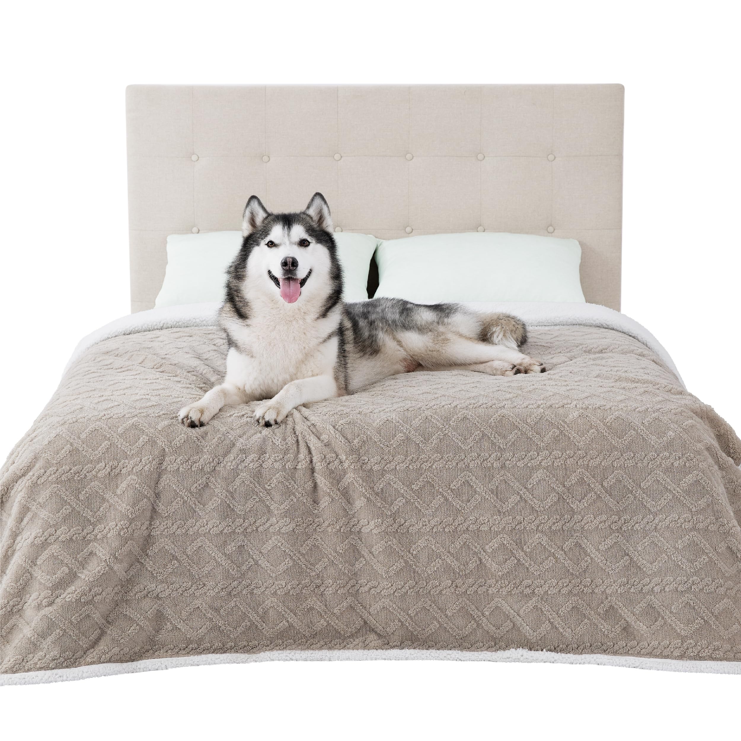Photo 1 of Bedsure Waterproof Dog Blankets for Bed - Pet Blanket for Bed Couch Protector Washable, Jacquard Coral Fleece Cat Throw Blanket, Soft Plush Reversible Furniture Protection, King, 86x108, Pale Oak