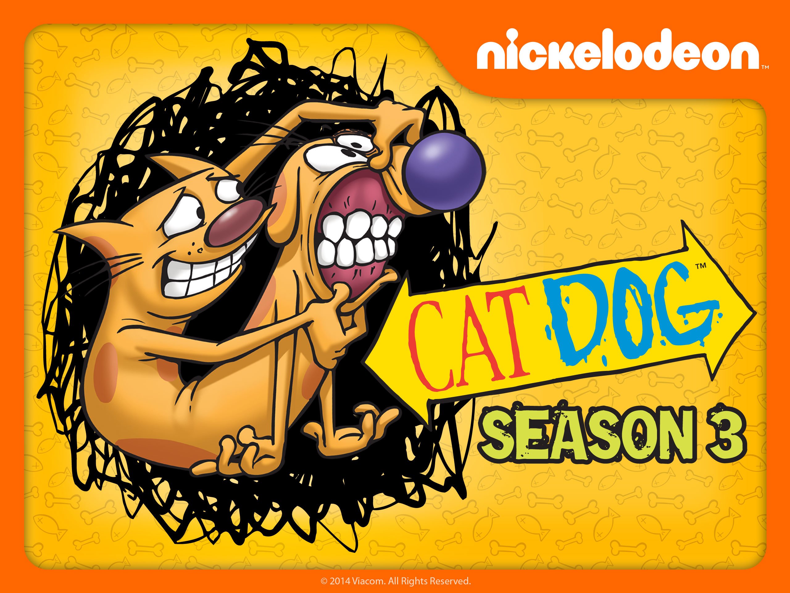 stream catdog
