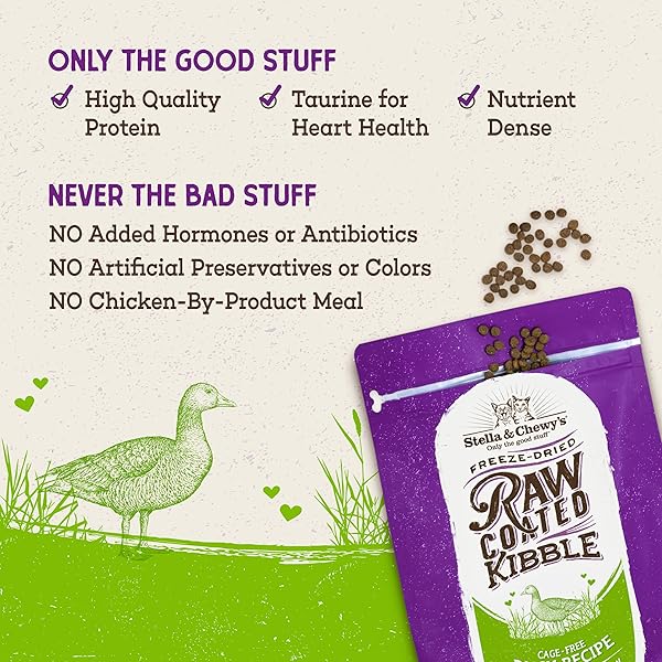 STELLA & CHEWY’S RAW COATED CAT FOOD – HIGH PROTEIN, GRAIN-FREE KIBBLE WITH CAGE-FREE DUCK – PREMIUM DIGESTIVE SUPPORT WITH PROBIOTICS – ALL NATURAL SMALL KIBBLE – PERFECT FOR PICKY EATERS – 5 LB BAG