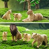 toymany 6Pcs Realistic Lion Figures Lion Cubs Educational Toy Set view 3
