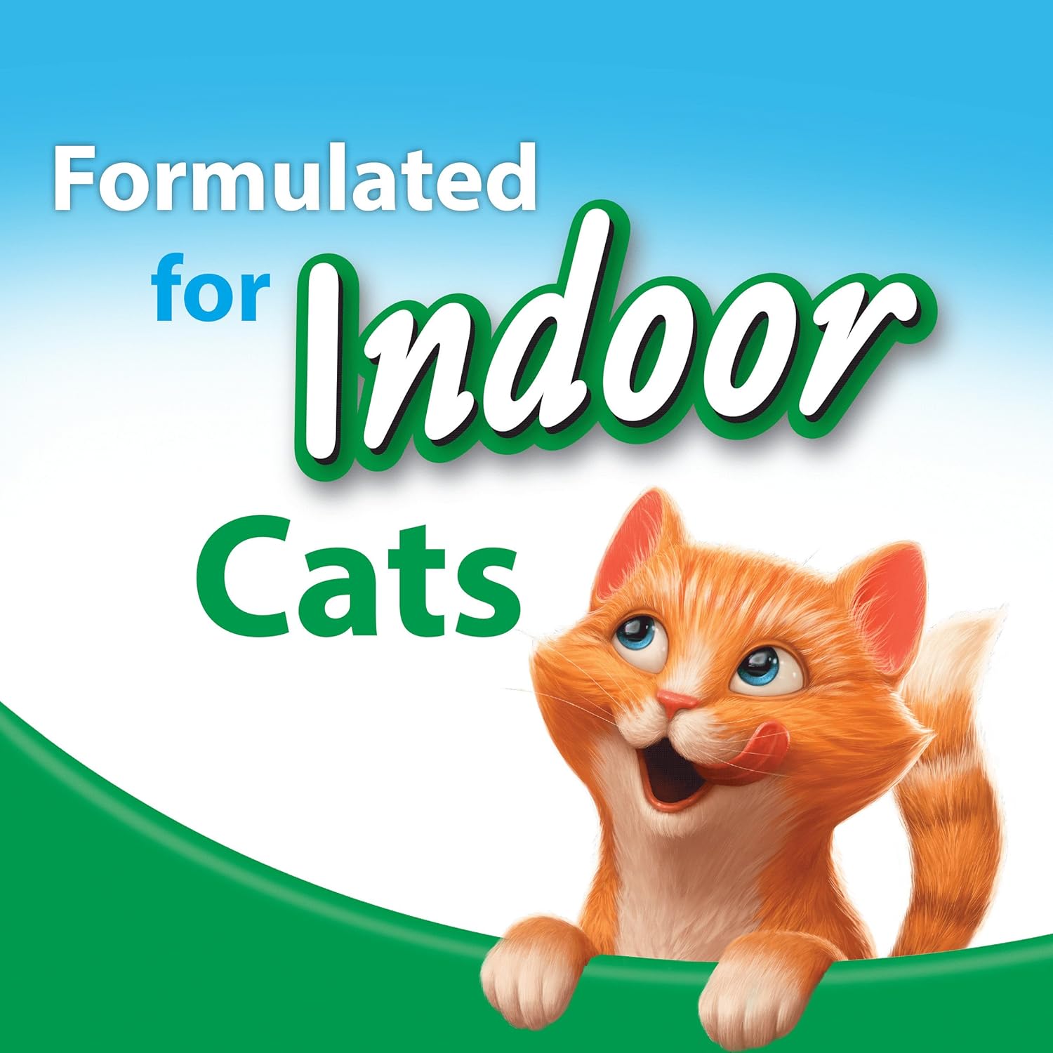 Purina Kit & Kaboodle Indoor Dry Cat Food, Indoor - 16 lb. Bag : Pet Supplies