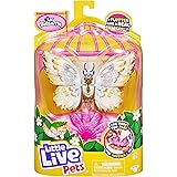 little live pets butterfly entertainer