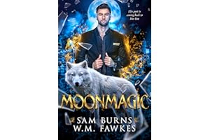 Moonmagic (Witchwolf Book 2)