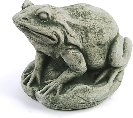 Amazon Com Garden Frog Home And Garden Statues Cement Toads