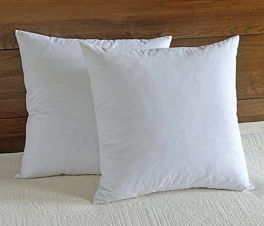 Amazon Com Downluxe Feather Pillow Inserts Set Of 2 26x26