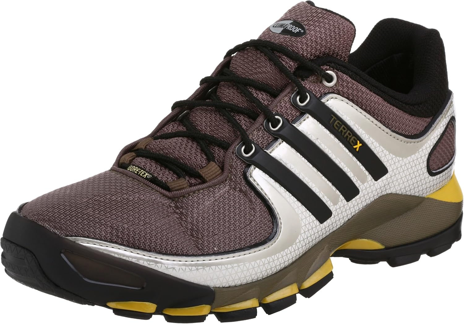 Adidas Men�s Terrex Low GTX M Hiking Shoe, Cargo/Black