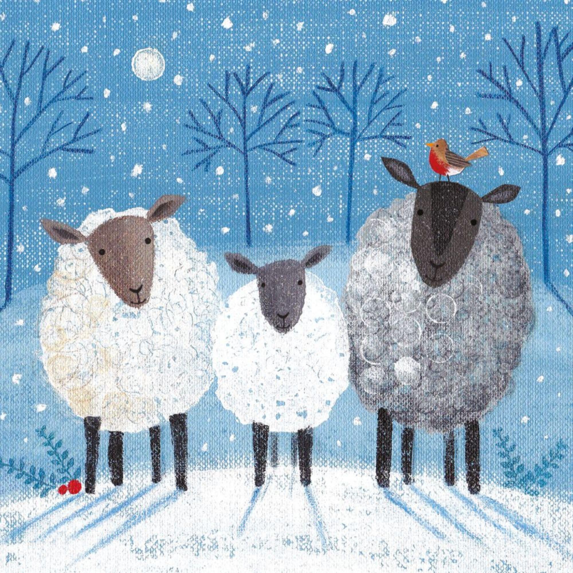 Museums & Galleries Pack of 8 Charity Christmas Cards from Christmas Bleatings, Sheep in Snow