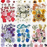 CONVELIFE Dried Flowers for Resin, 103pcs Natural Flowers and Leaves Compressed, Vacuum Packed DIY Pressed Flowers for Epoxy, Jewelry, Candles, Soap, Nail Production
