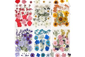 CONVELIFE Dried Flowers for Resin, 103pcs Natural Flowers and Leaves Compressed, Vacuum Packed DIY Pressed Flowers for Epoxy, Jewelry, Candles, Soap, Nail Production