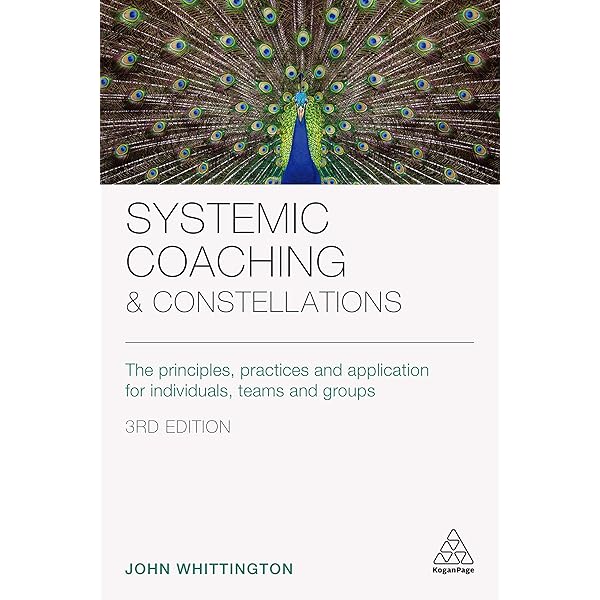 Invisible Dynamics: Systemic Constellations in Organisations