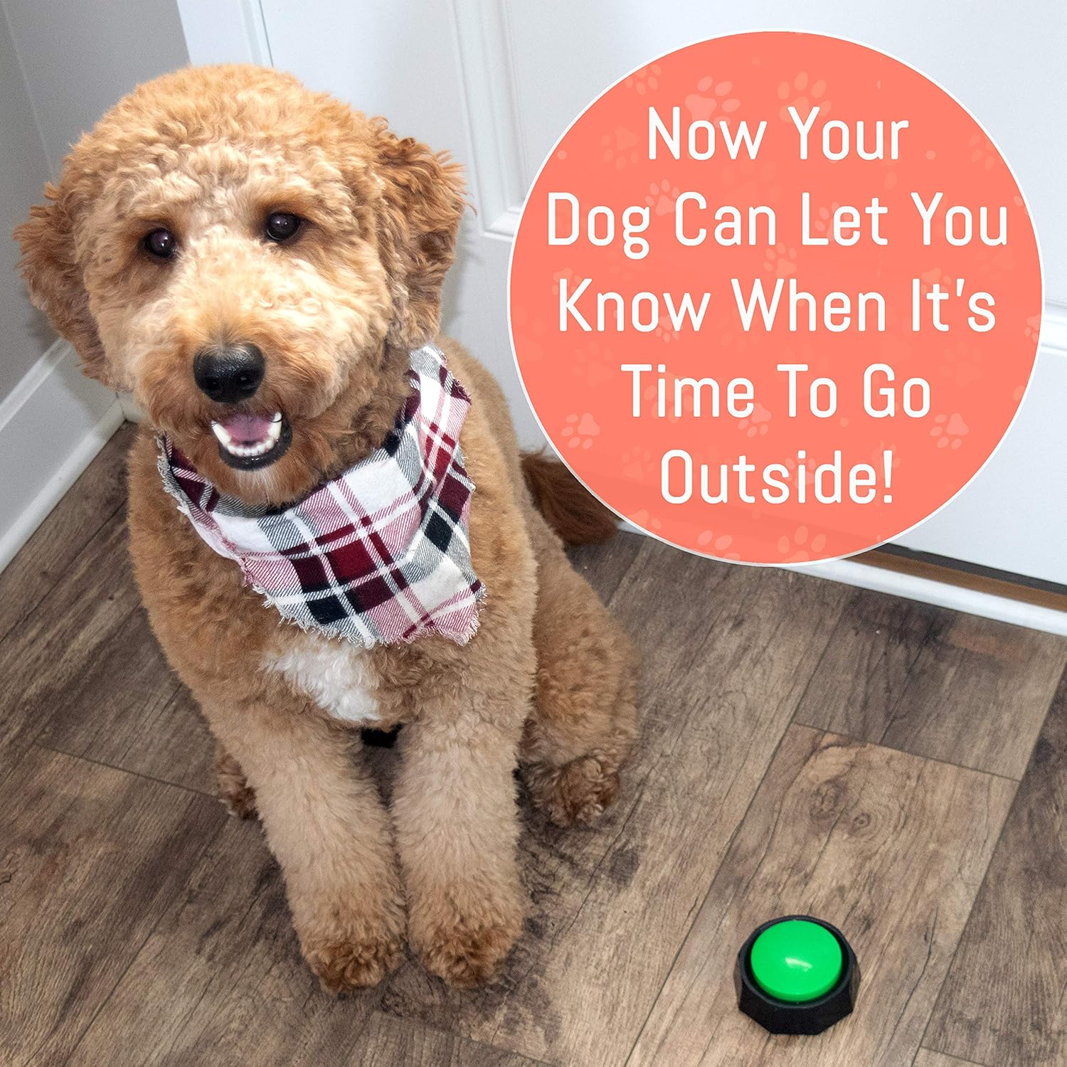 Chip's Pet Stuff Recordable Training Buttons for Dogs - Record Any Sound to Enable Communication with Your Puppy - Set of 4 Can Also Be Used As Game Buzzers, Doggie Doorbells, Speech Aids, & More : Pet Supplies