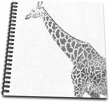 Amazon Com 3drose Db 47701 1 Black And White Giraffe Sketch