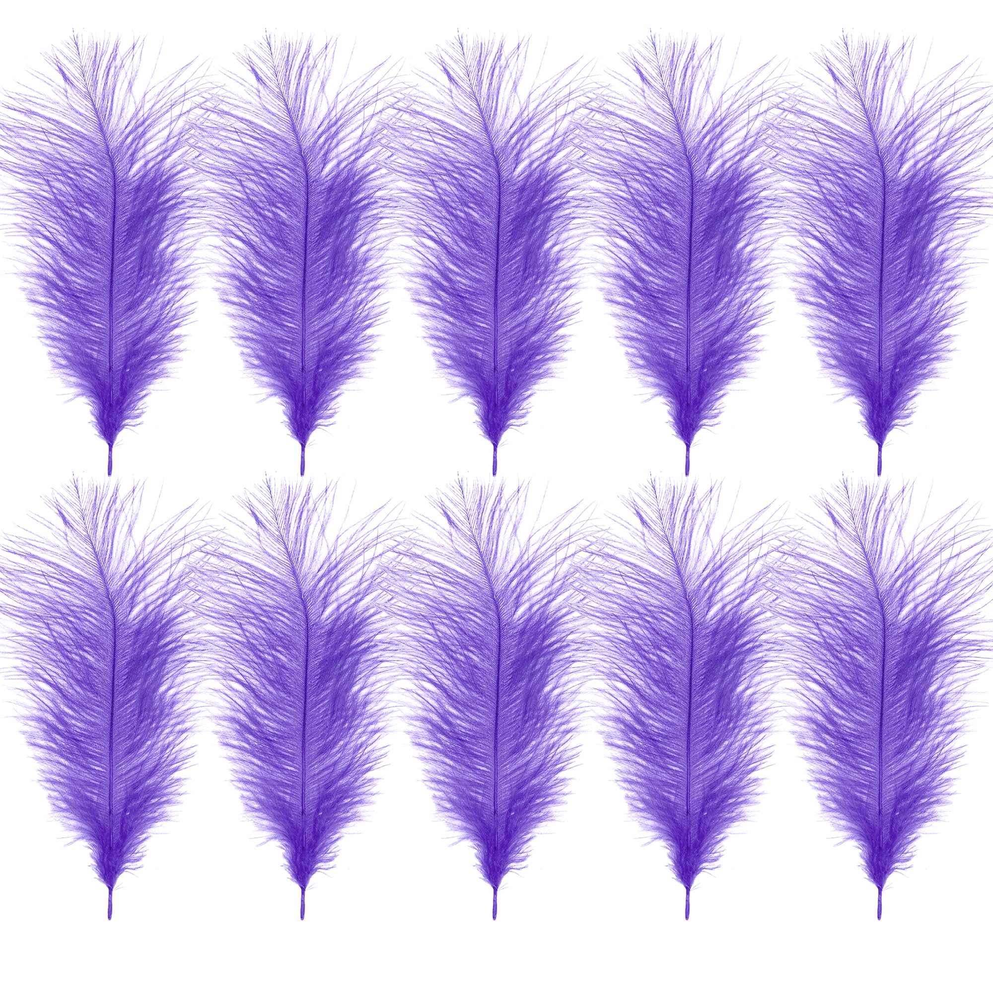 WedDecor 35cm Light Lilac Ostrich Feathers for Wedding Decoration – Real Feather Supplies for Crafts, DIY Headdresses, Dressmaking, Table Centrepieces & Fashion Accessories, 10pcs