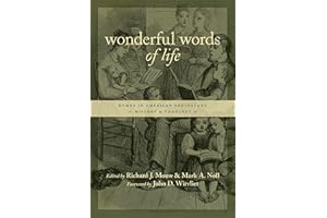 Wonderful Words of Life: Hymns in American Protestant History and Theology