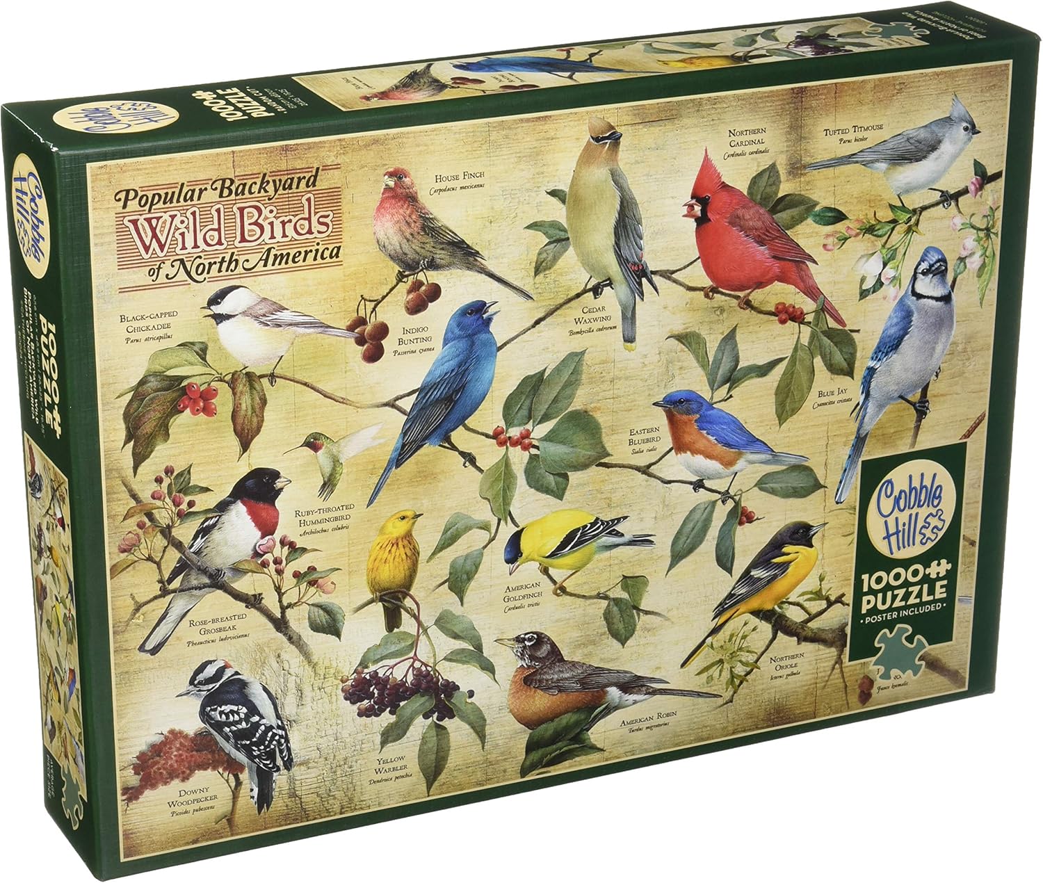 Cobble Hill 1000 Piece Puzzle Popular Backyard Wildbirds of N.A