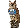 Gardeneer By Dalen Natural Enemy Scarecrow Rotating Head Owl