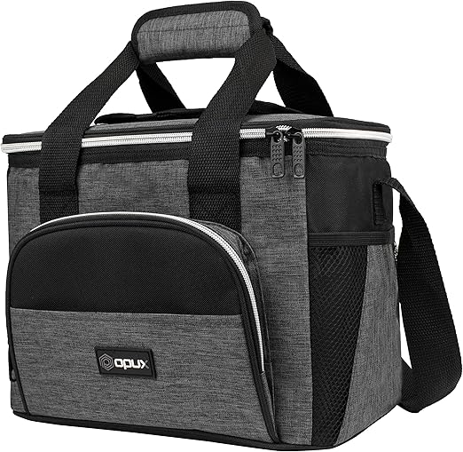 small picnic cool bag