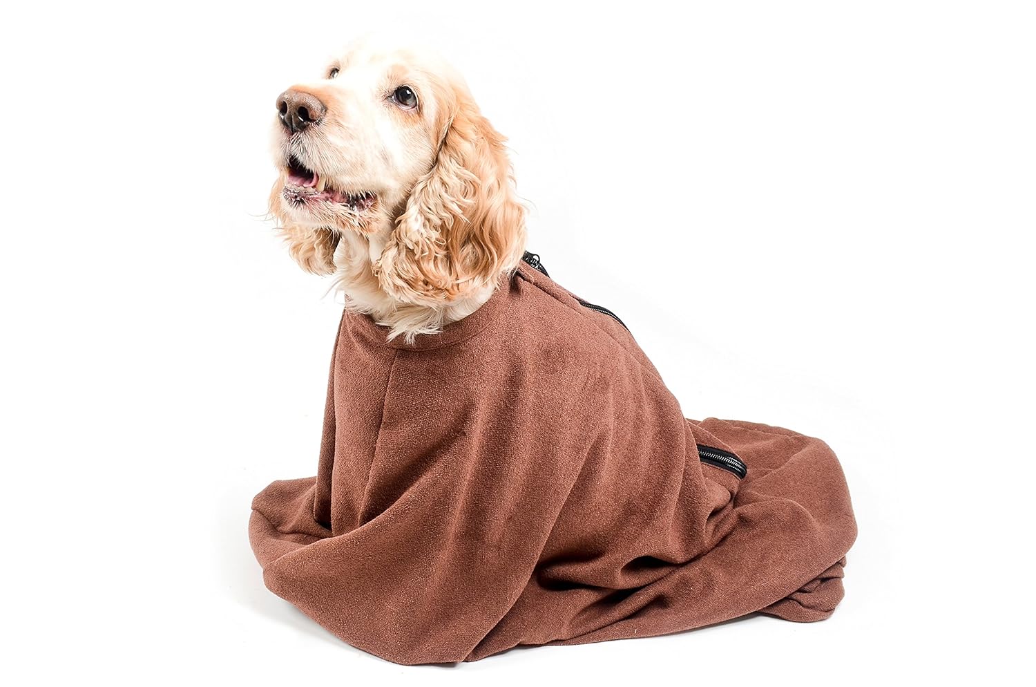 Microfibre Store Medium Doggy Bag, Brown Amazon.co.uk Kitchen & Home
