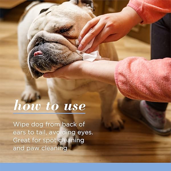 BURT’S BEES FOR PETS GENTLE CLEANSING PUPPY WIPES WITH BUTTERMILK, 98% NATURAL ORIGIN FORMULAS, HYPOALLERGENIC DOG WIPES CLEANING, DOG CLEANING WIPES, DOG WIPES FOR PAWS AND BUTT, 50CT