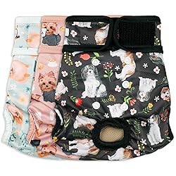 Grecle Dog Diapers Female(3 Pack) - No Leak