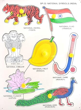 Little Genius National Symbols (India) with Knob, Multi Color