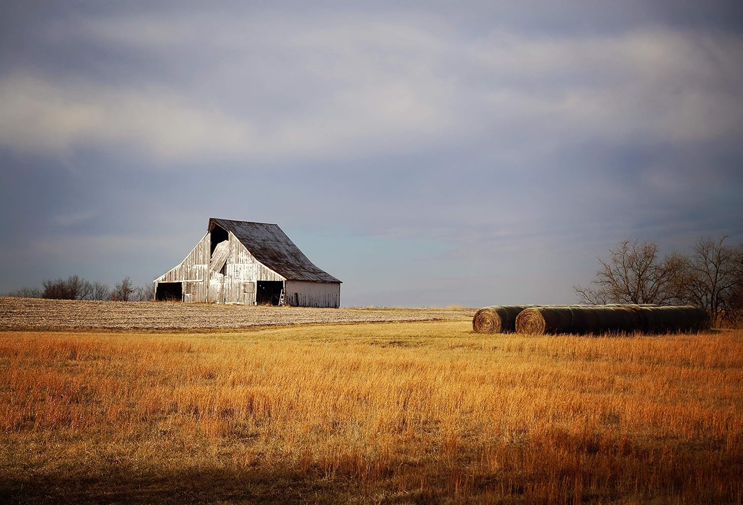 Amazon Com Fine Art Photography Print Of An Old Barn In Field