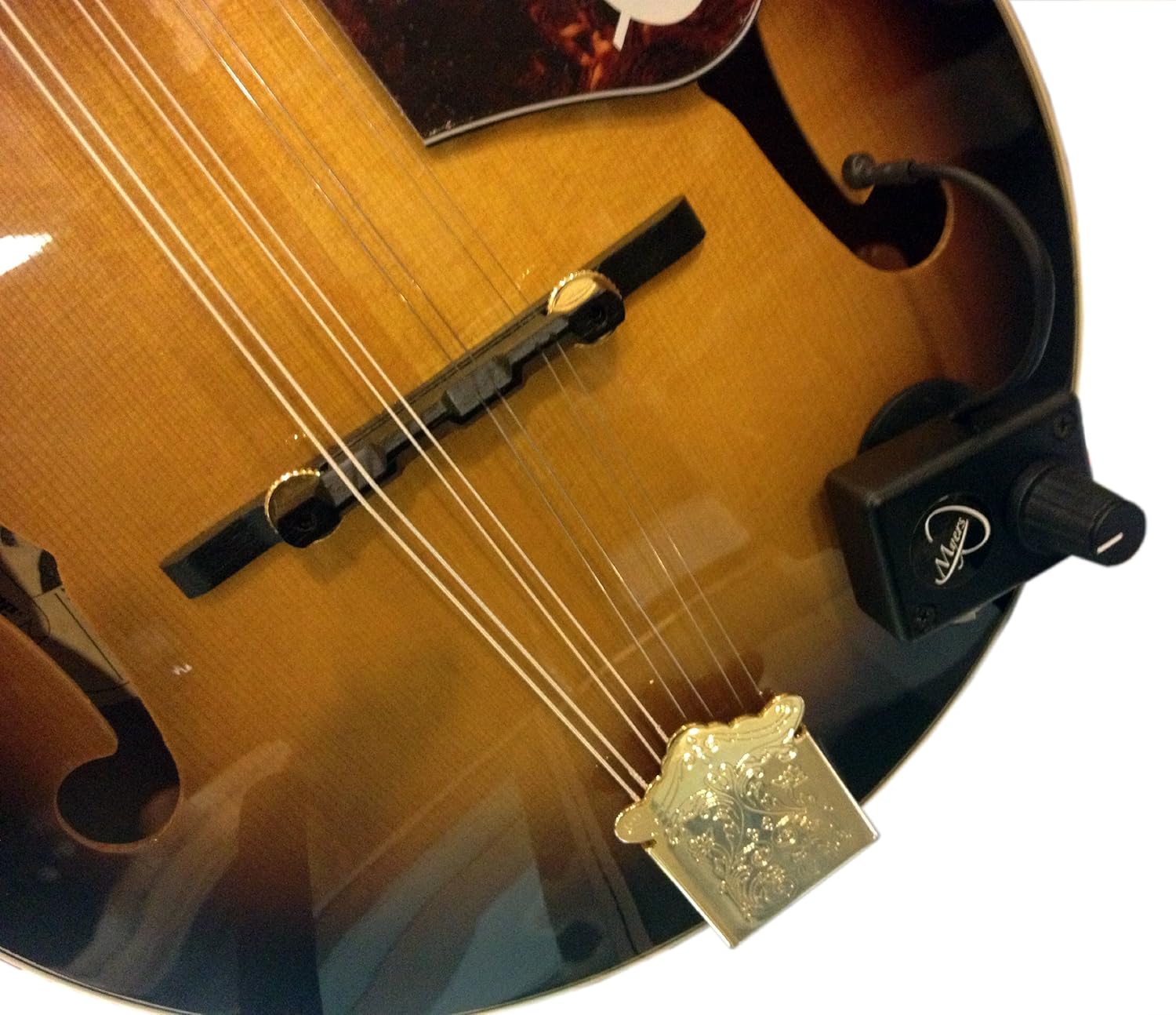 MANDOLIN PICKUP with FLEXIBLE MICROGOOSE NECK by Myers