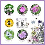 Seedball Butterfly Mix Seed Bombs 100 Pack Wildflower Seeds view 4
