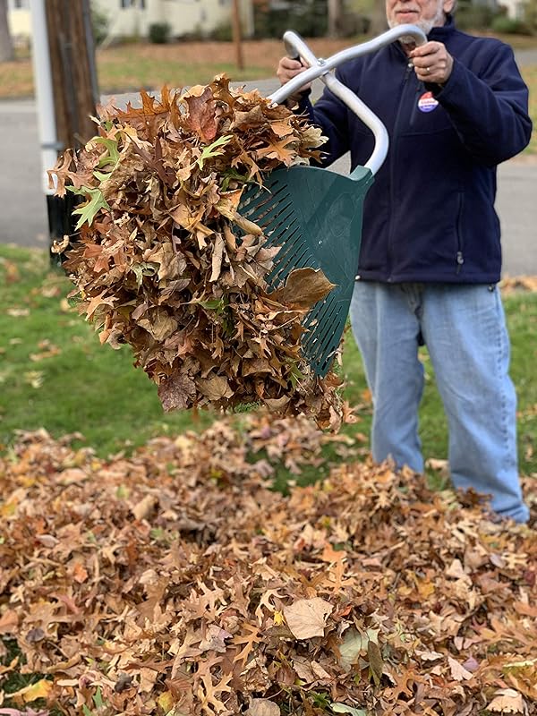 Amazon.com: New Patented Invention - The Ultimate Leaf Lifter - Leaf