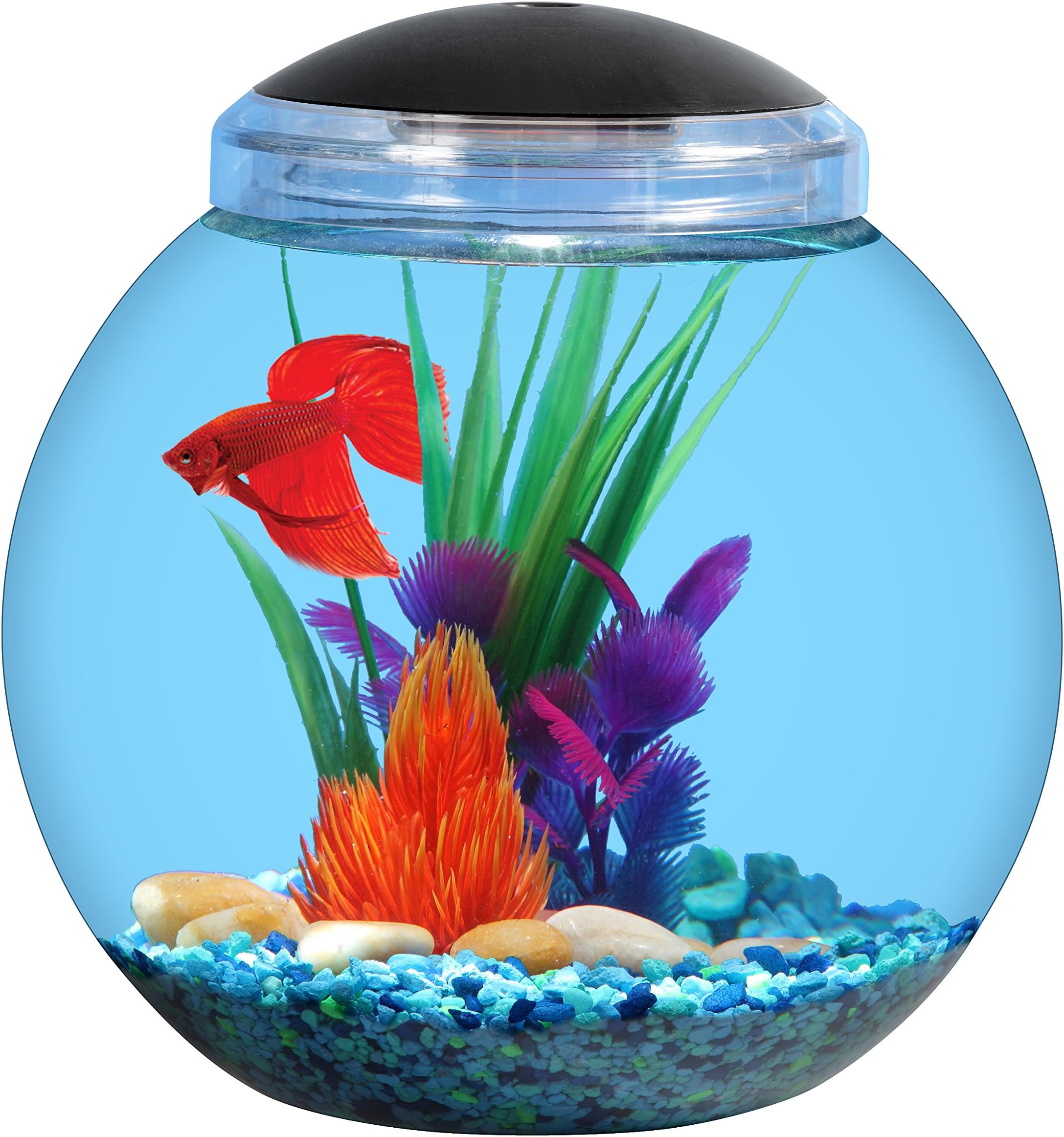 \"Aqua Culture 1-Gallon Globe Bowl with LED Light, 7.25\"\" DIA x 8.5\"\"H\"