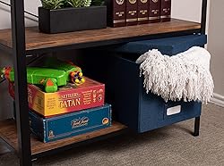 Internet's Best Collapsible File Storage Organizer