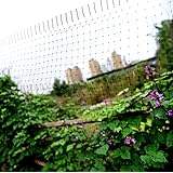 Amazon.com : Gardman 7662 Fruit Cage Large, 118" Long x 78 ...