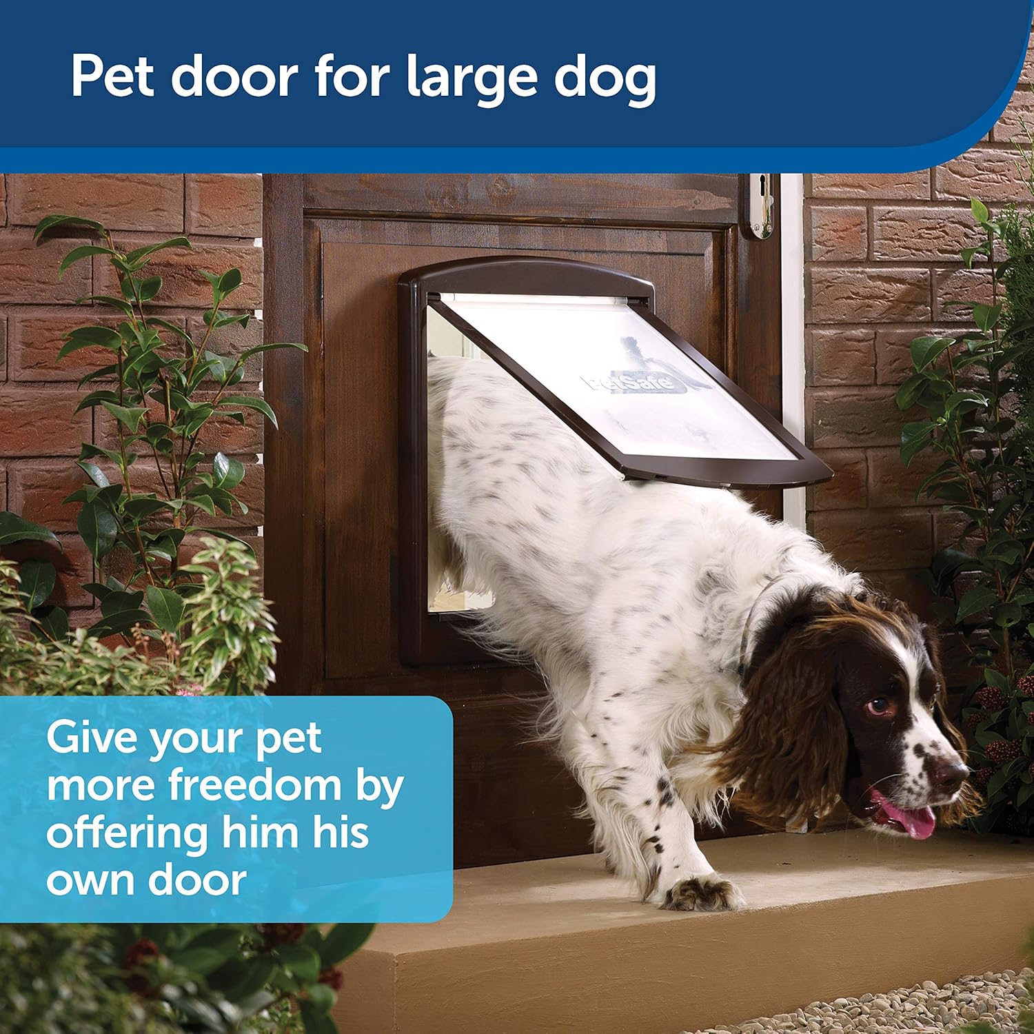 staywell medium dog flap
