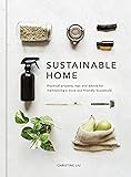 Sustainable Home: Practical projects, tips and advice for maintaining a more eco-friendly household (Volume 1) (Sustainable Living Series, 1)