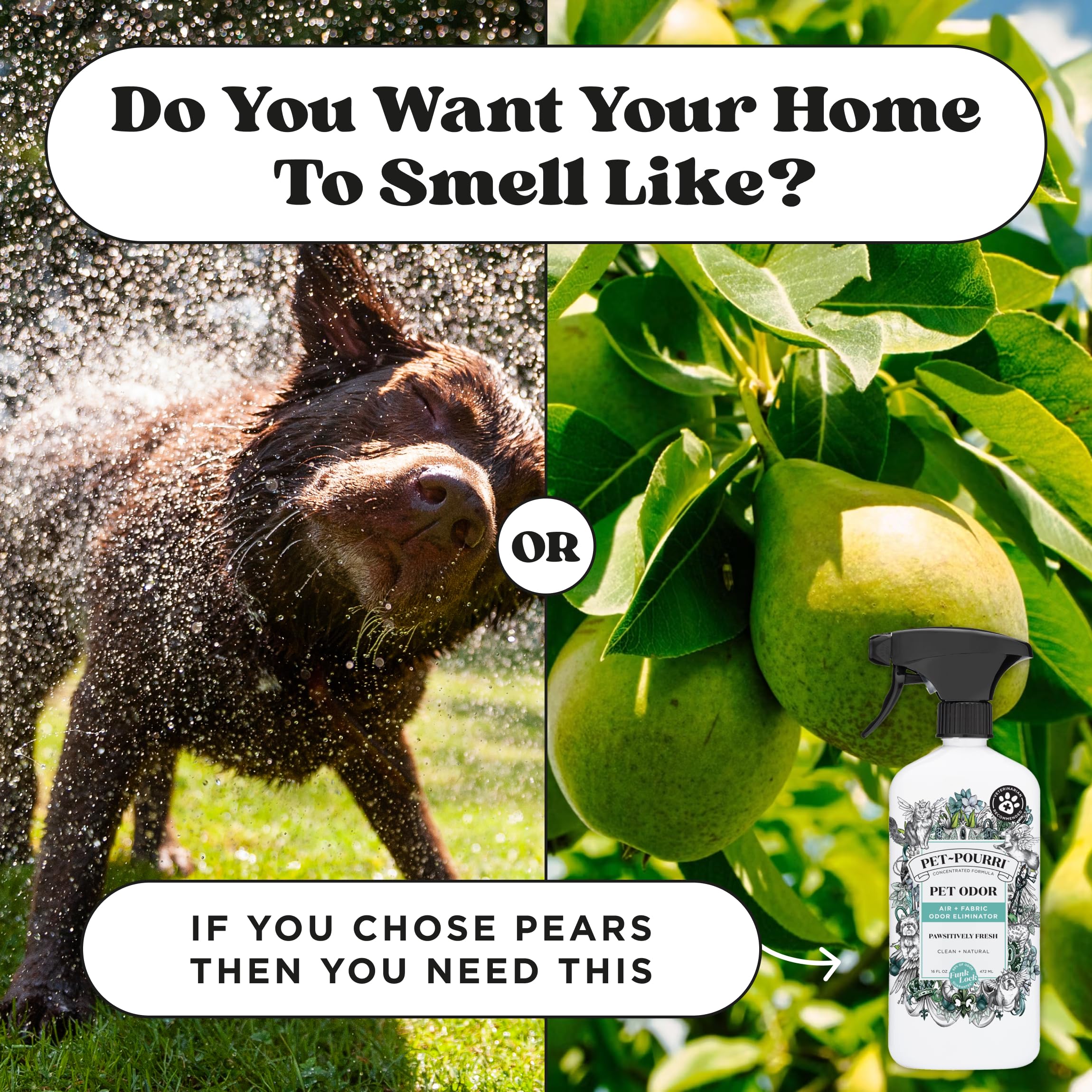 Pet-Pourri Pawsitively Fresh Pet Odor Deodorizer Spray, 16 Fl Oz, Up to 800 Uses, Air + Fabric Odor Remover with Essential Oils & Plant Based Ingredients, Vet Recommended, Pineapple, Jasmine & Pear