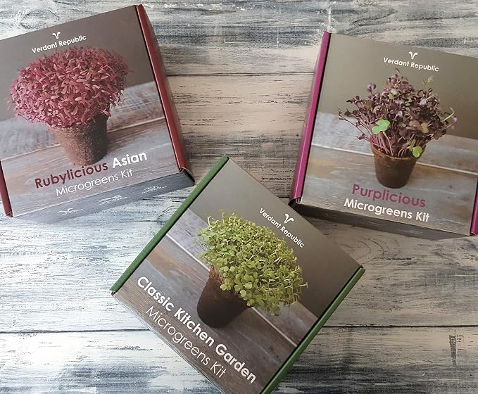Huerta Clásica Kit de Cultivo de MICROGREENS para Cultivar tus ...