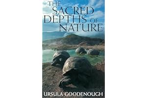 The Sacred Depths of Nature