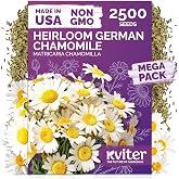 2,500 German Chamomile Heirloom Herb Seeds, Matricaria Chamomilla/Recutita | Annual Herb Seeds, Drought-Tolerant, with White Daisy-Like Flowers, Heirloom Seeds for Planting in Indoor &amp; Outdoor Garden