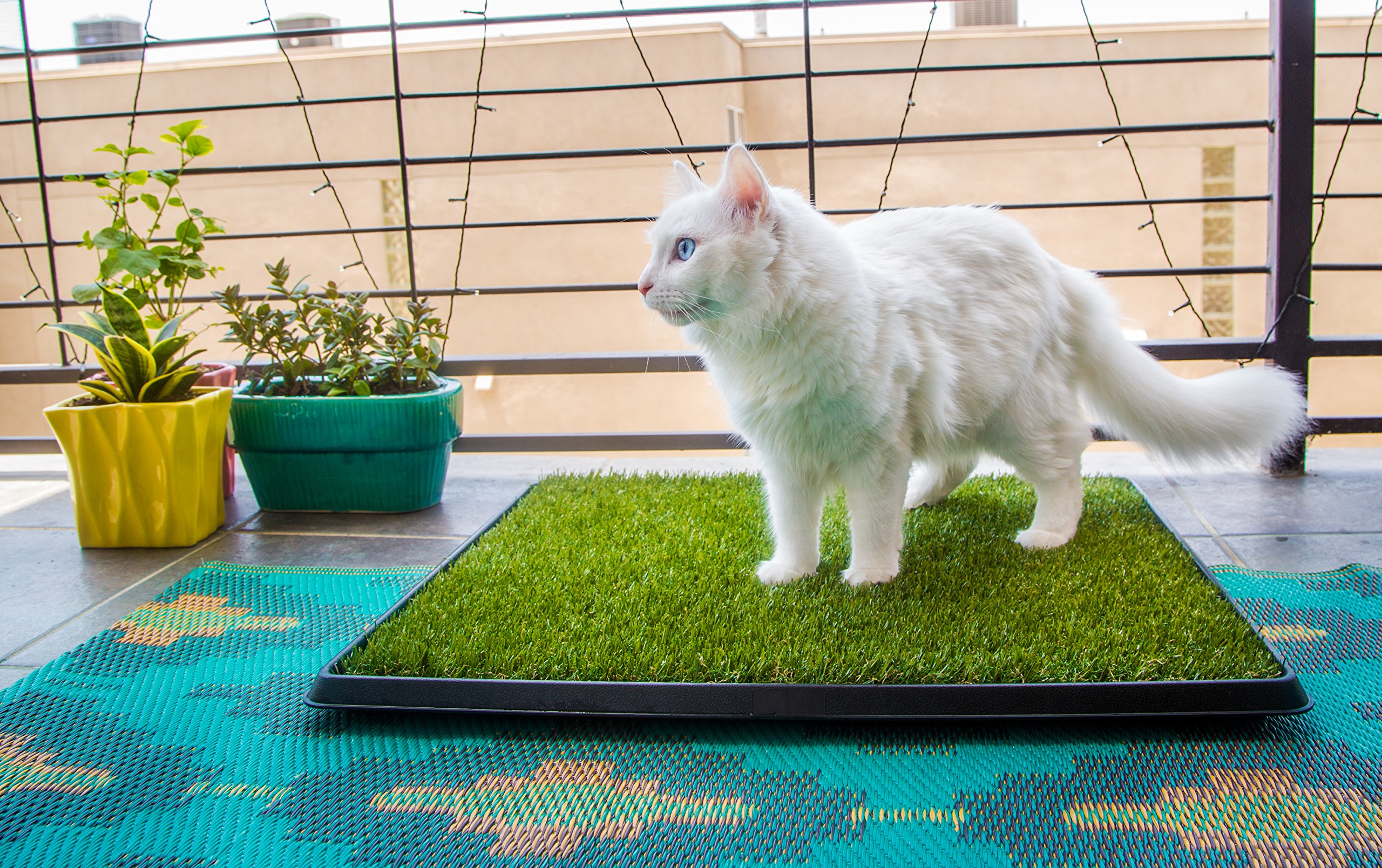 Best Pet Turf The 1 APPROVED Replacement Artificial Grass Patch for
