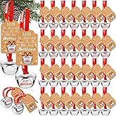 30 Sets Christmas Bells Decor Christmas Believe Bell Ornaments Bulk Polar Express Bell Decorations Xmas Party Gifts Favors Tags Silver Sleigh Jingle Bells for Christmas Tree Decoration(1.6 Inch)