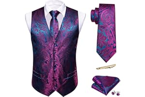 Barry.Wang Mens Paisley V-neck Suit Vest Formal/Leisure Silk Jacquard Waistcoat Tie Set 5PCS